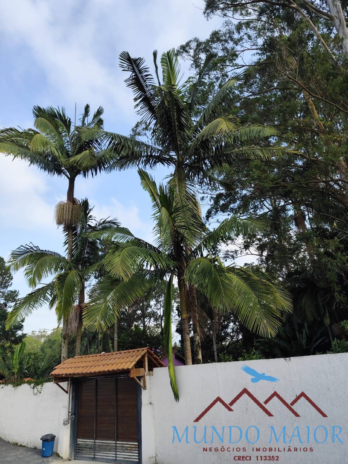 Casa à venda com 3 quartos, 800m² - Foto 46