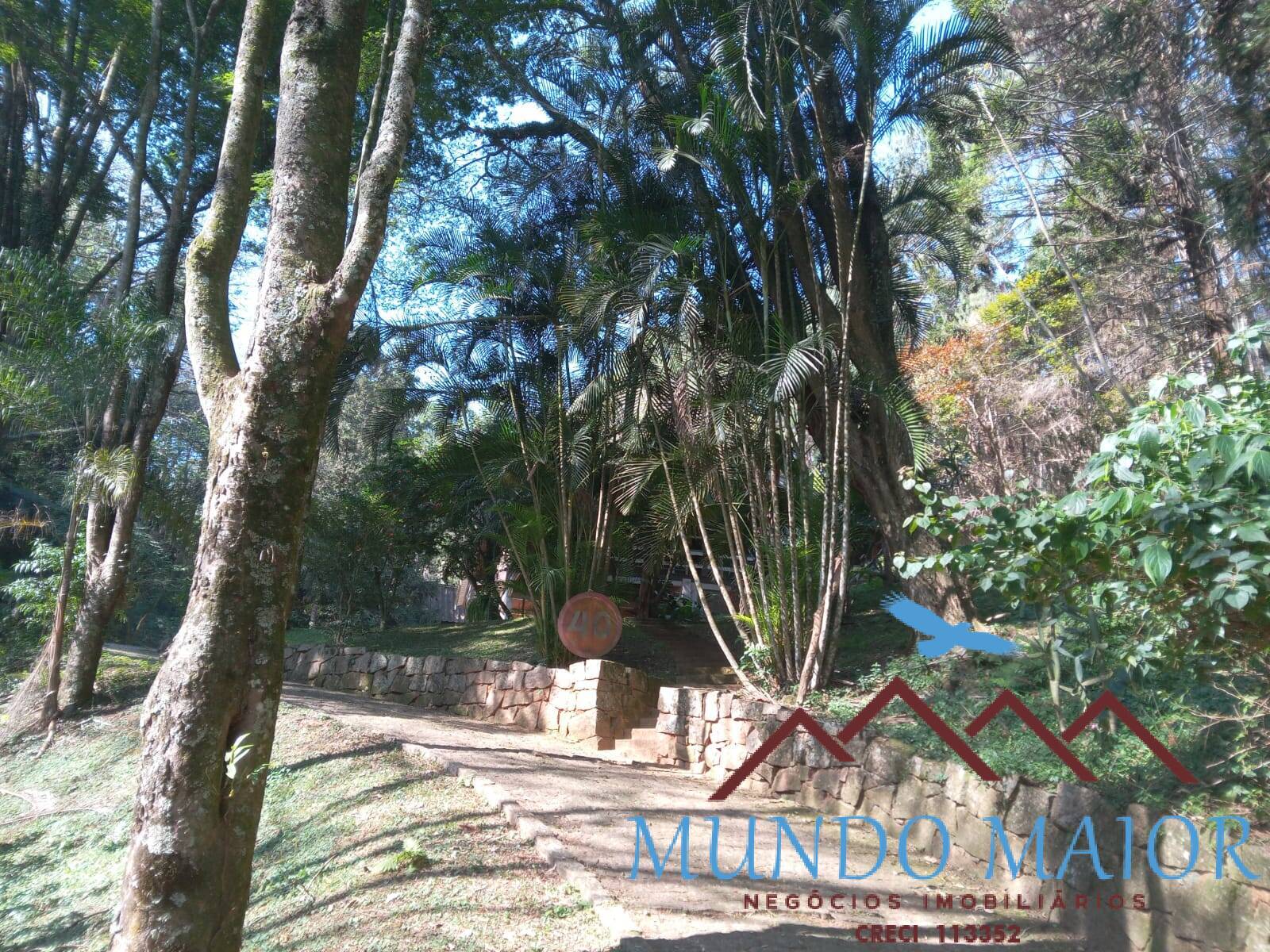 Sítio, 3 quartos, 10 hectares - Foto 31