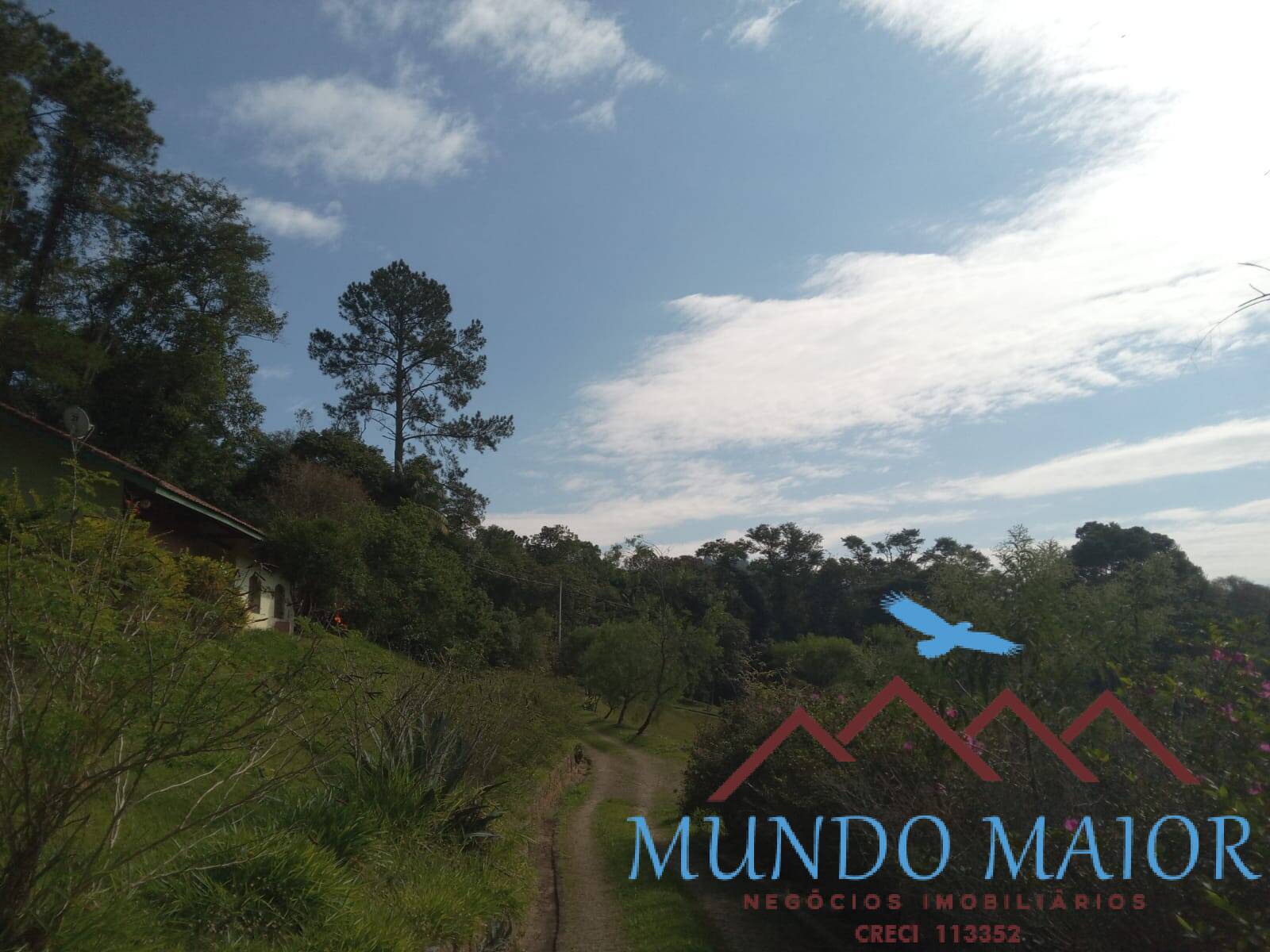 Sítio, 3 quartos, 10 hectares - Foto 33