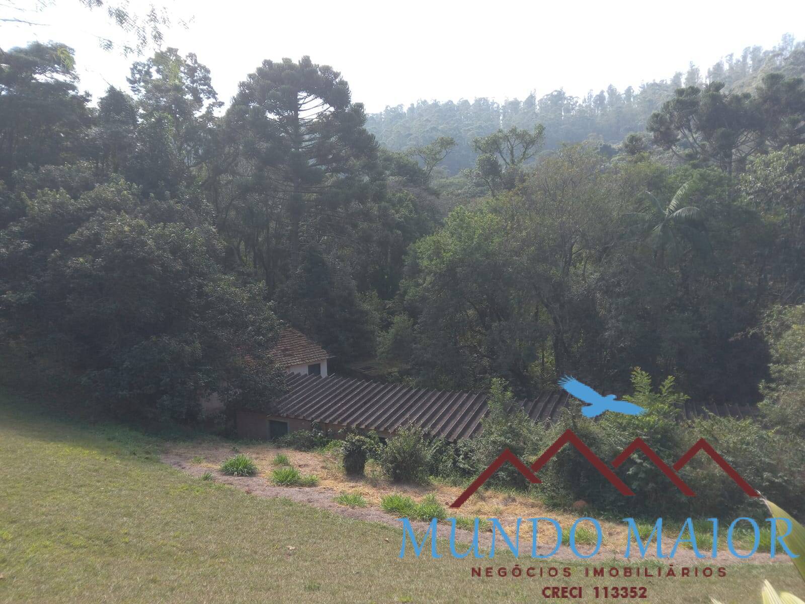 Sítio, 3 quartos, 10 hectares - Foto 34