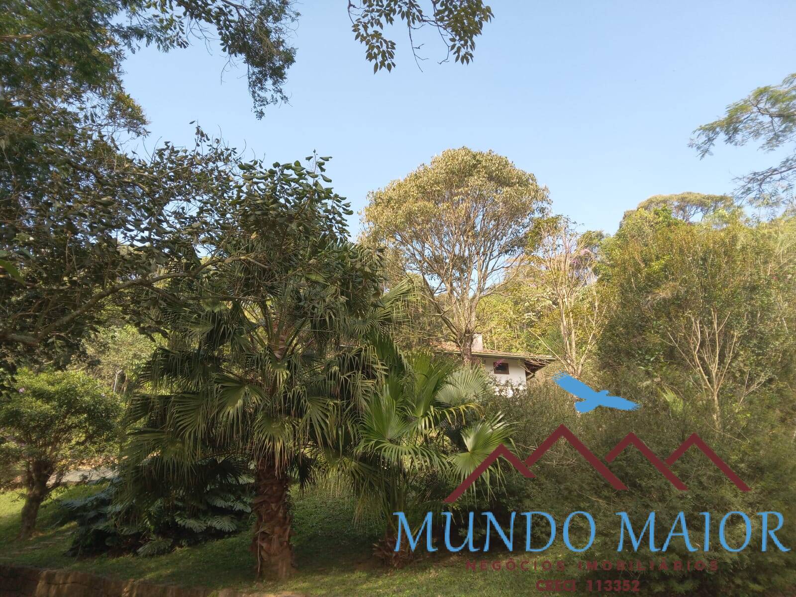 Sítio, 3 quartos, 10 hectares - Foto 37