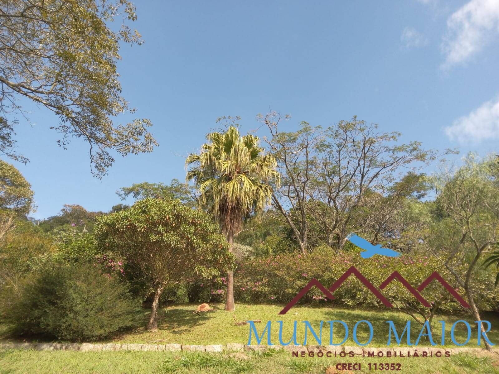 Sítio, 3 quartos, 10 hectares - Foto 36