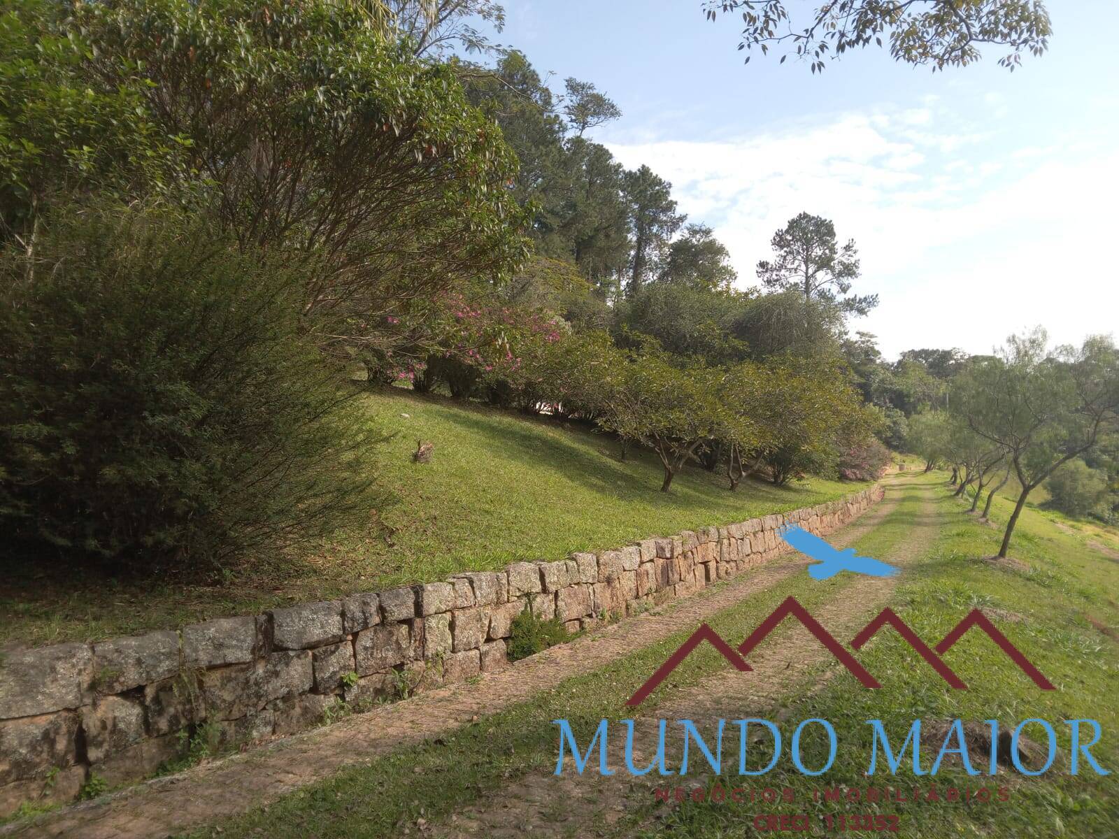 Sítio, 3 quartos, 10 hectares - Foto 38