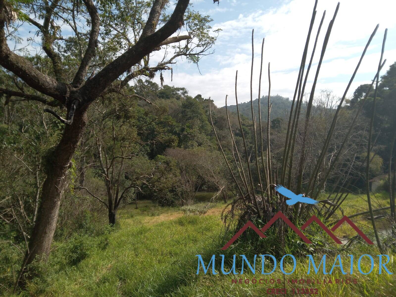 Sítio, 3 quartos, 10 hectares - Foto 40