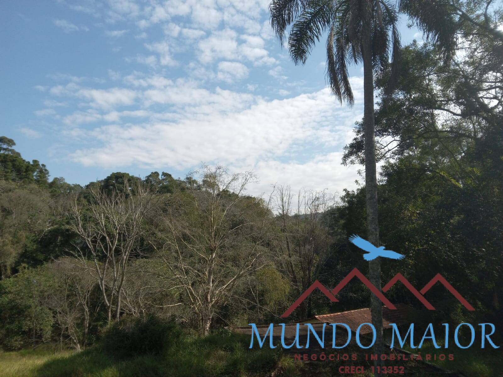 Sítio, 3 quartos, 10 hectares - Foto 41