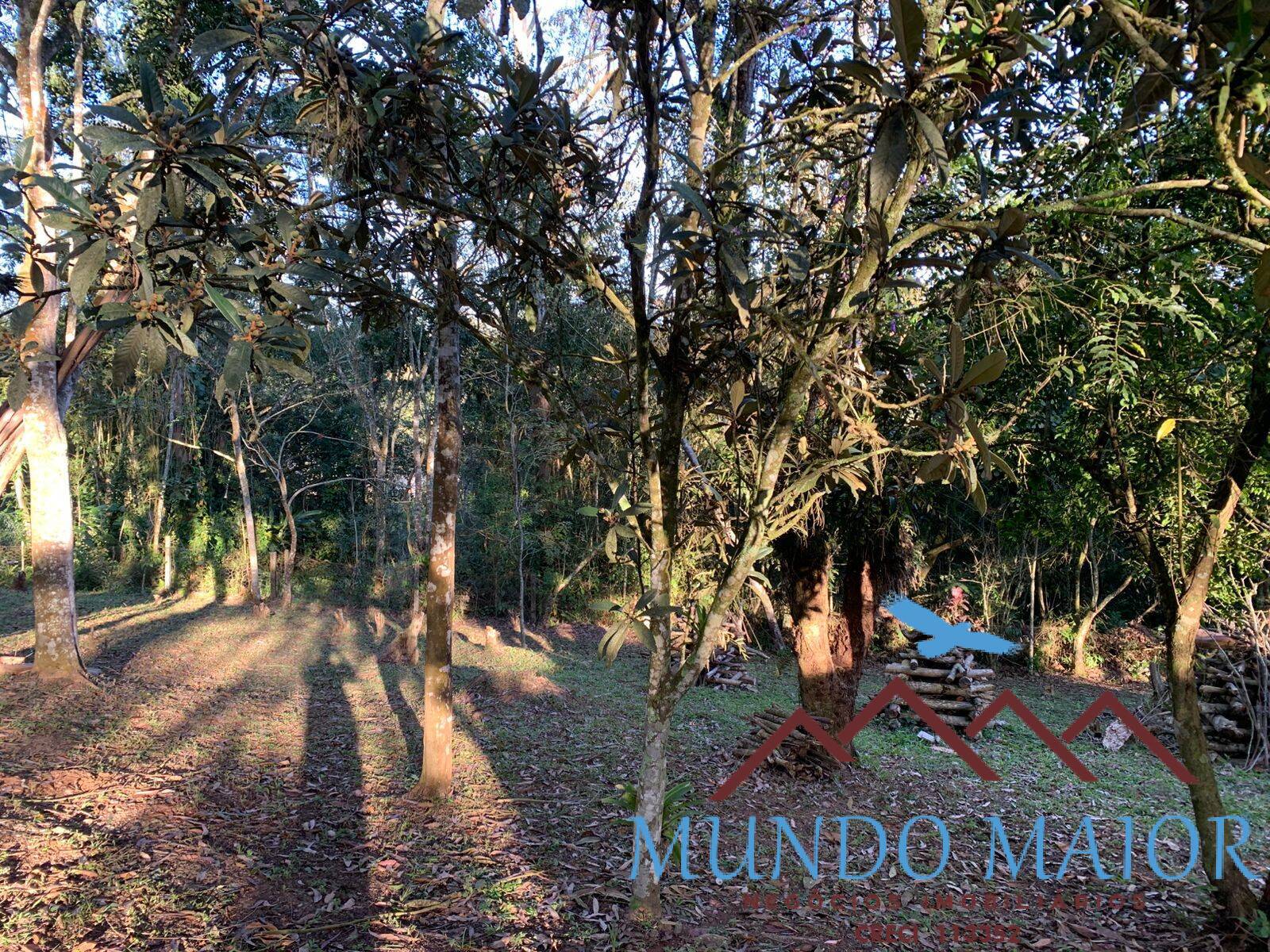 Chácara, 3 quartos, 1 hectares - Foto 23