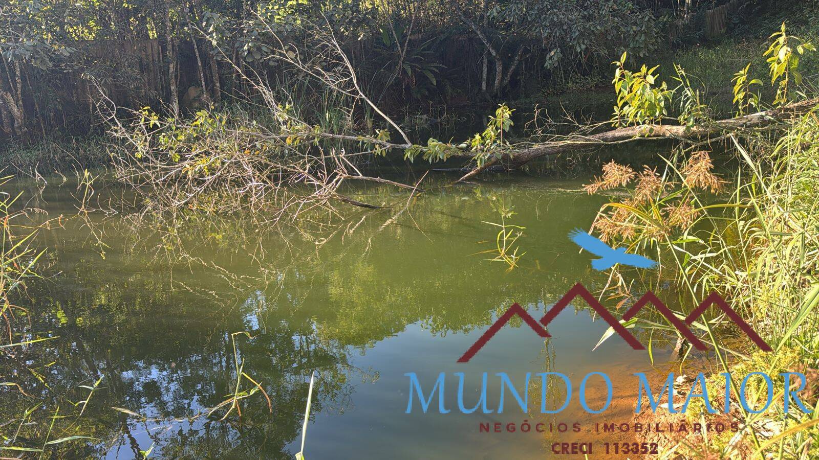 Chácara, 3 quartos, 1 hectares - Foto 32