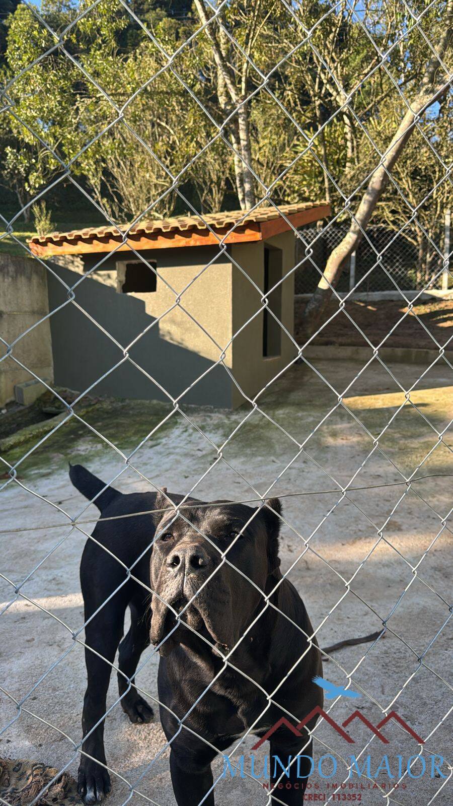 Chácara, 3 quartos, 1 hectares - Foto 28