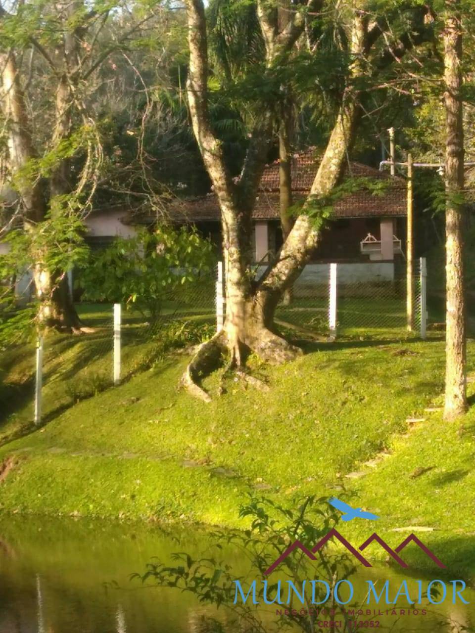 Sítio, 4 quartos, 44 hectares - Foto 22