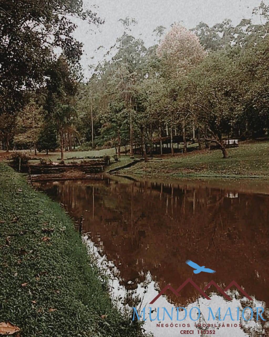 Sítio, 4 quartos, 44 hectares - Foto 17