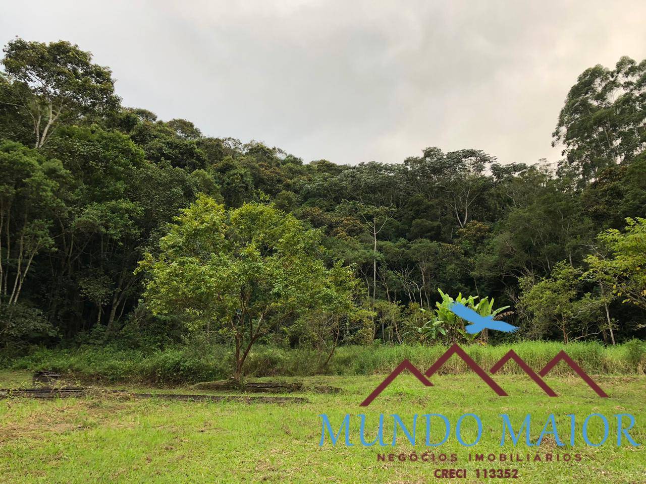 Sítio, 4 quartos, 44 hectares - Foto 36