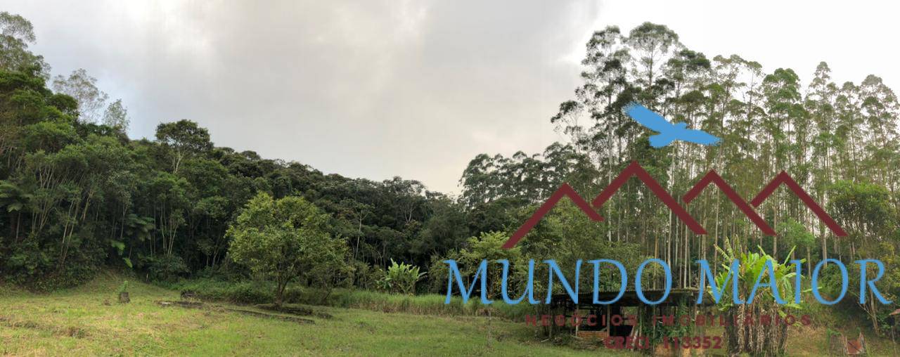 Sítio, 4 quartos, 44 hectares - Foto 37