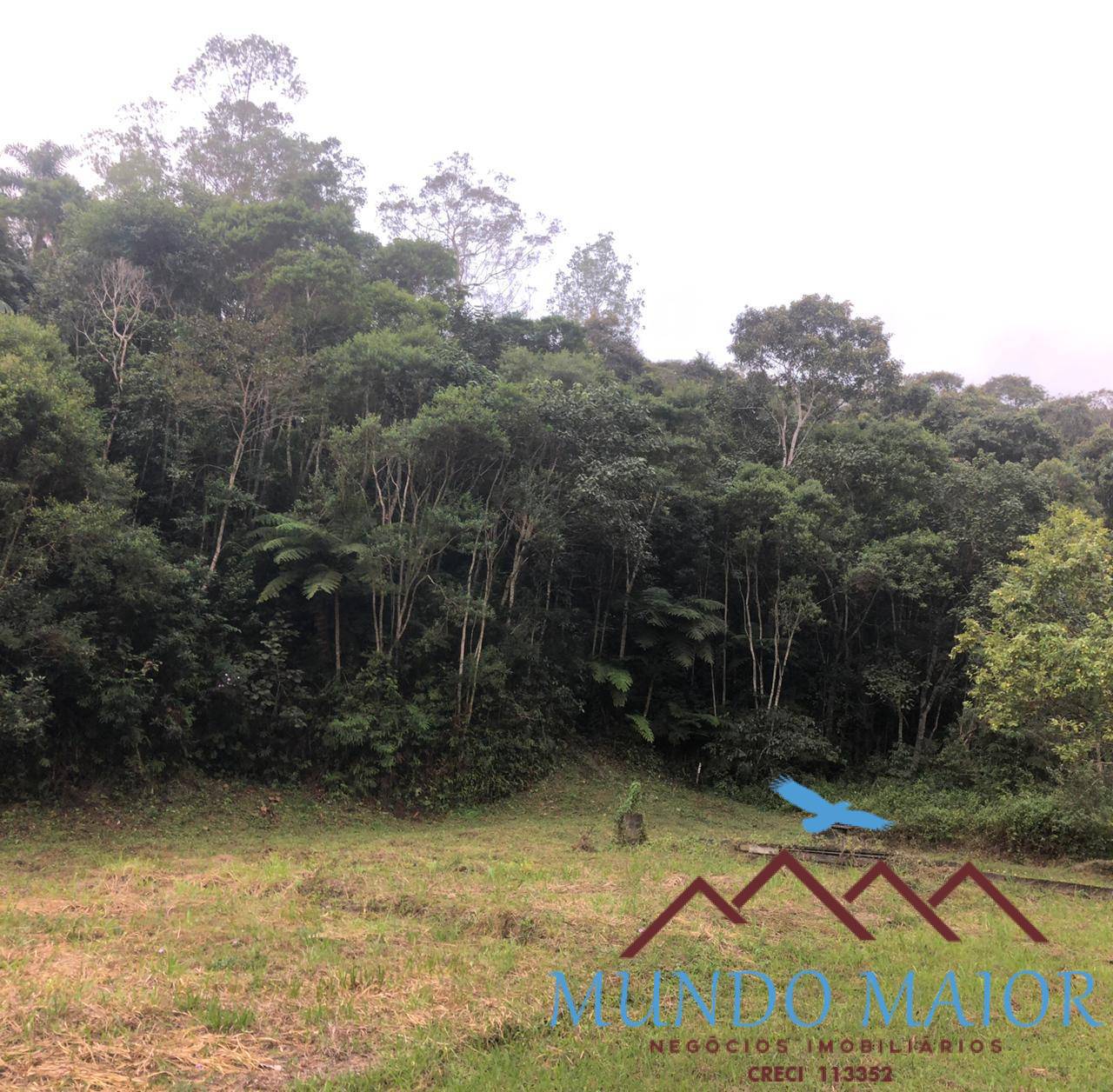 Sítio, 4 quartos, 44 hectares - Foto 31