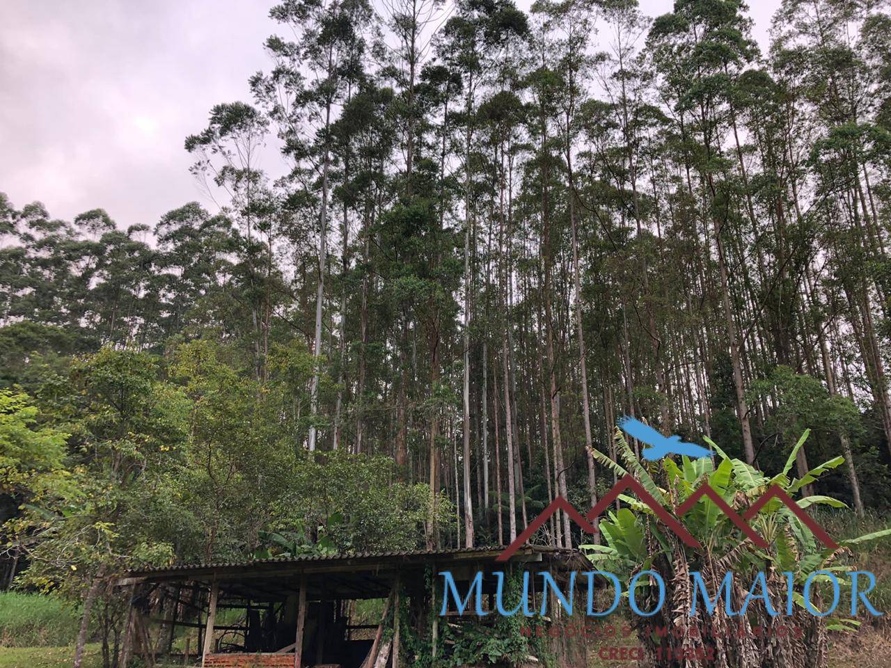 Sítio, 4 quartos, 44 hectares - Foto 33