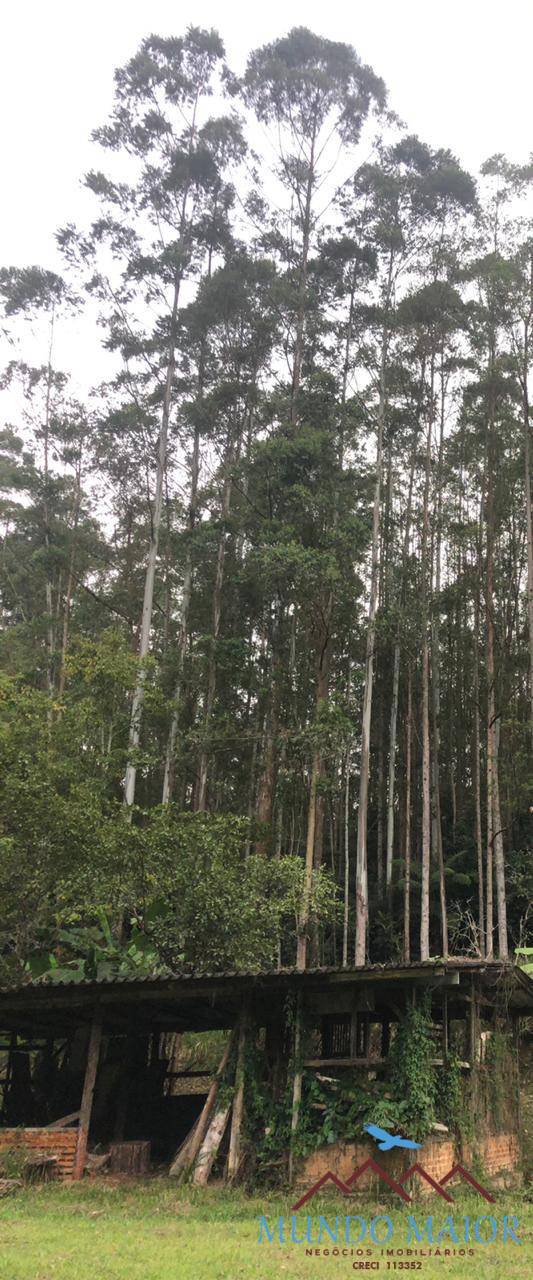 Sítio, 4 quartos, 44 hectares - Foto 35