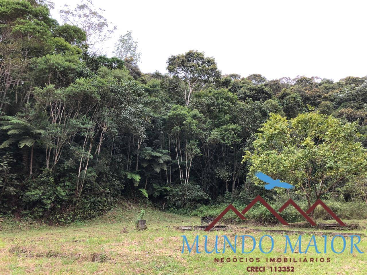 Sítio, 4 quartos, 44 hectares - Foto 32