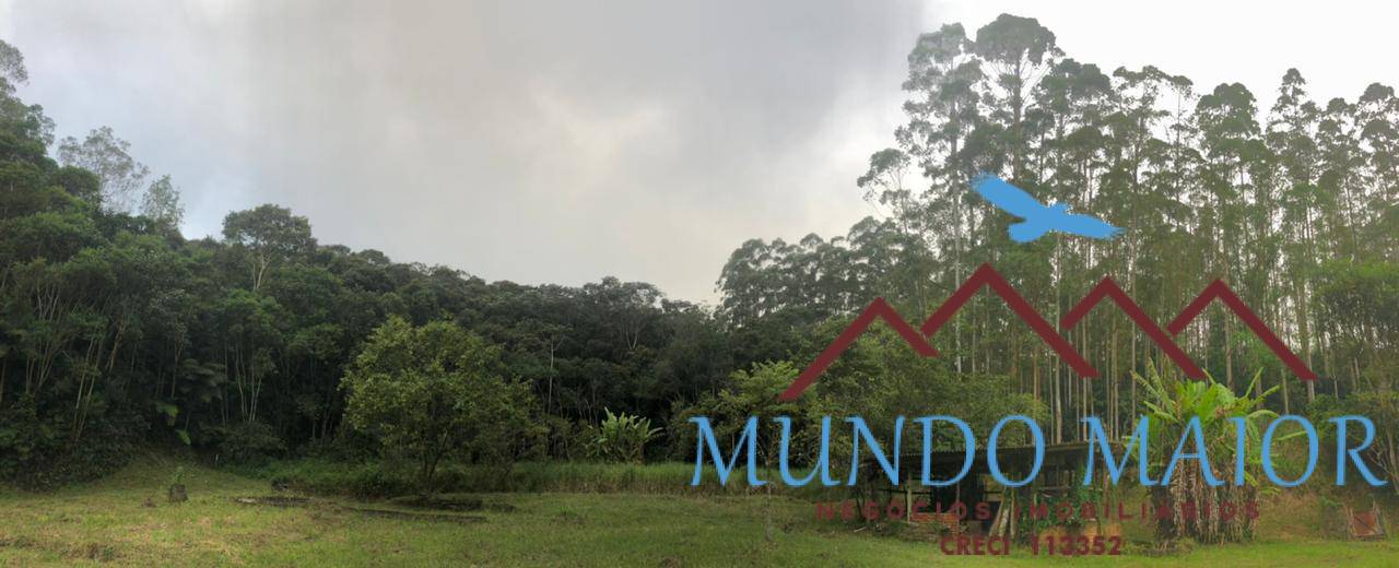 Sítio, 4 quartos, 44 hectares - Foto 39