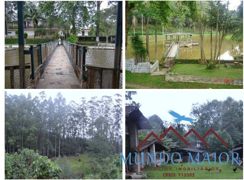 Sítio, 4 quartos, 44 hectares - Foto 23